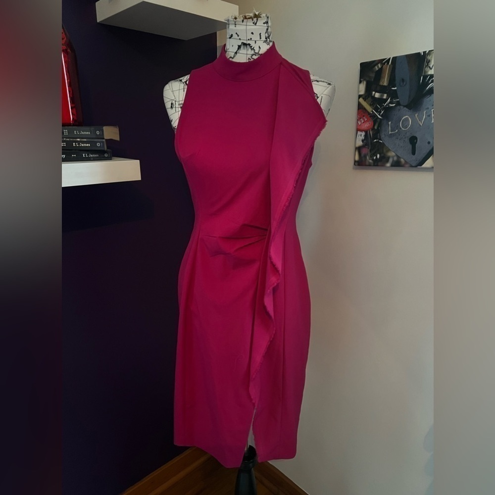 Rachel Roy Sleeveless Fuchsia Dress NWT